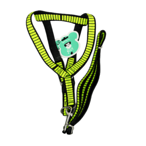 Arnés Reflectivo Ajustable con Correa para Mascotas – Verde Neón